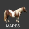 MARES